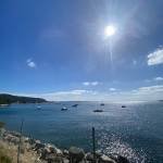 Diogo Profile Picture